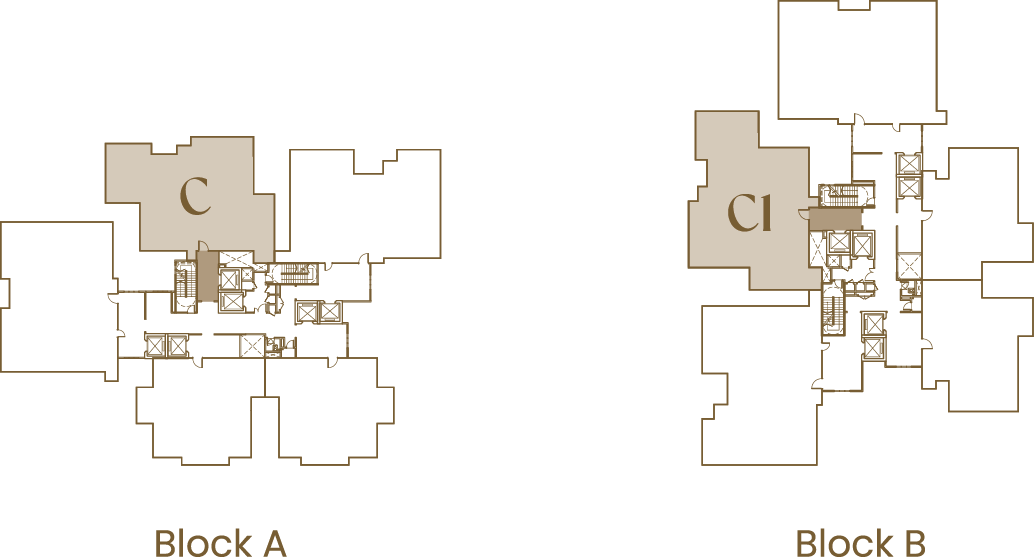 Type C/C1 related block view 2